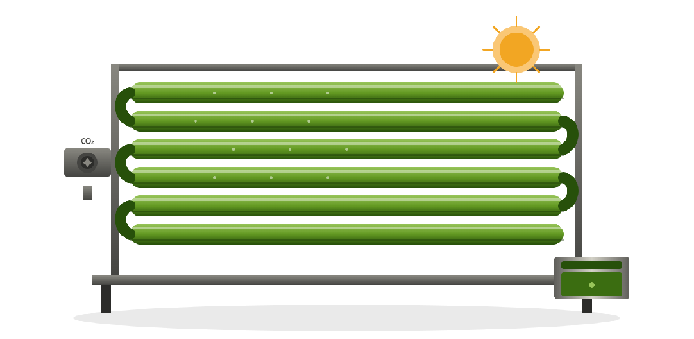 Microalgae Cultivation System — The Future Is Green